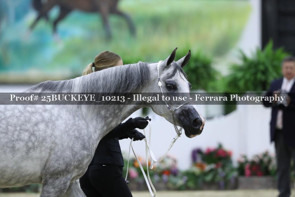 Proof Number 25BUCKEYE_10213