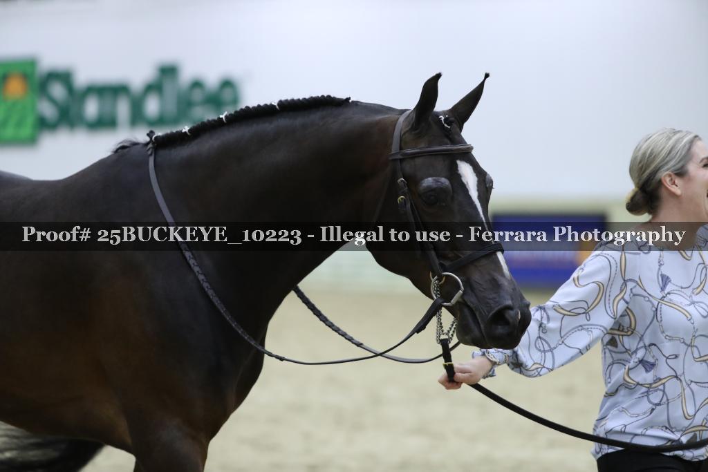 Proof Number 25BUCKEYE_10223