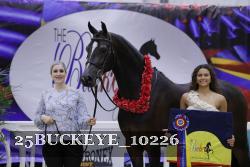 25BUCKEYE_10226 thumbnail