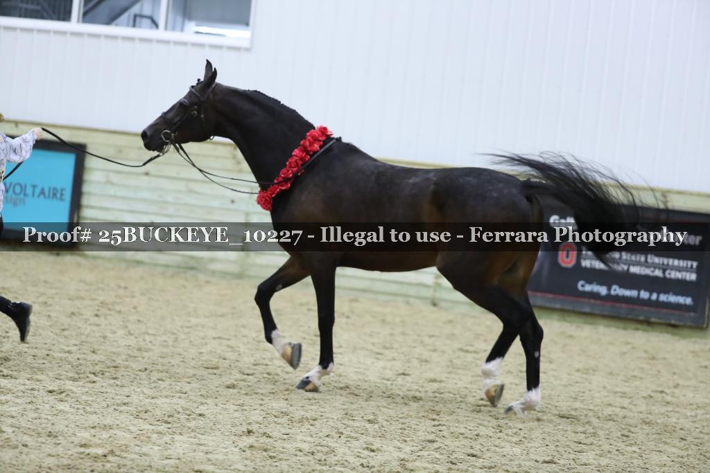 Proof Number 25BUCKEYE_10227