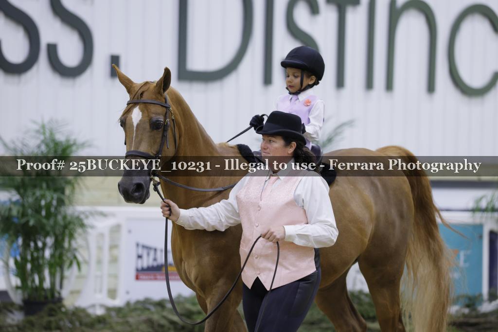 Proof Number 25BUCKEYE_10231