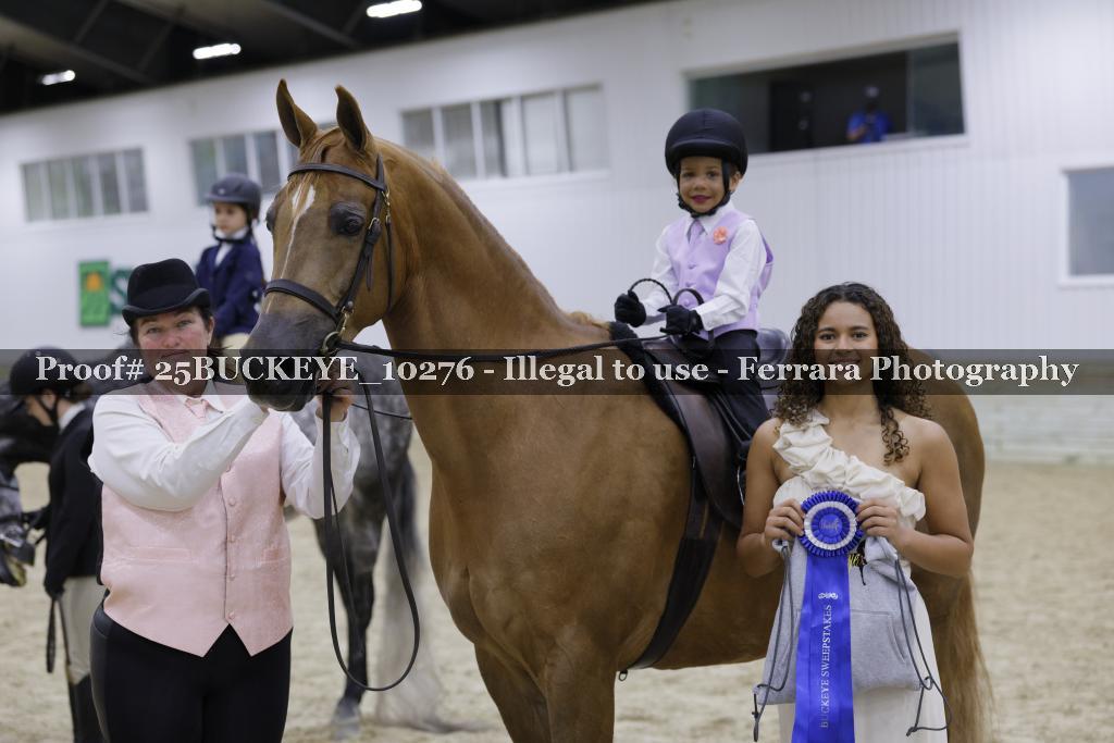 Proof Number 25BUCKEYE_10276