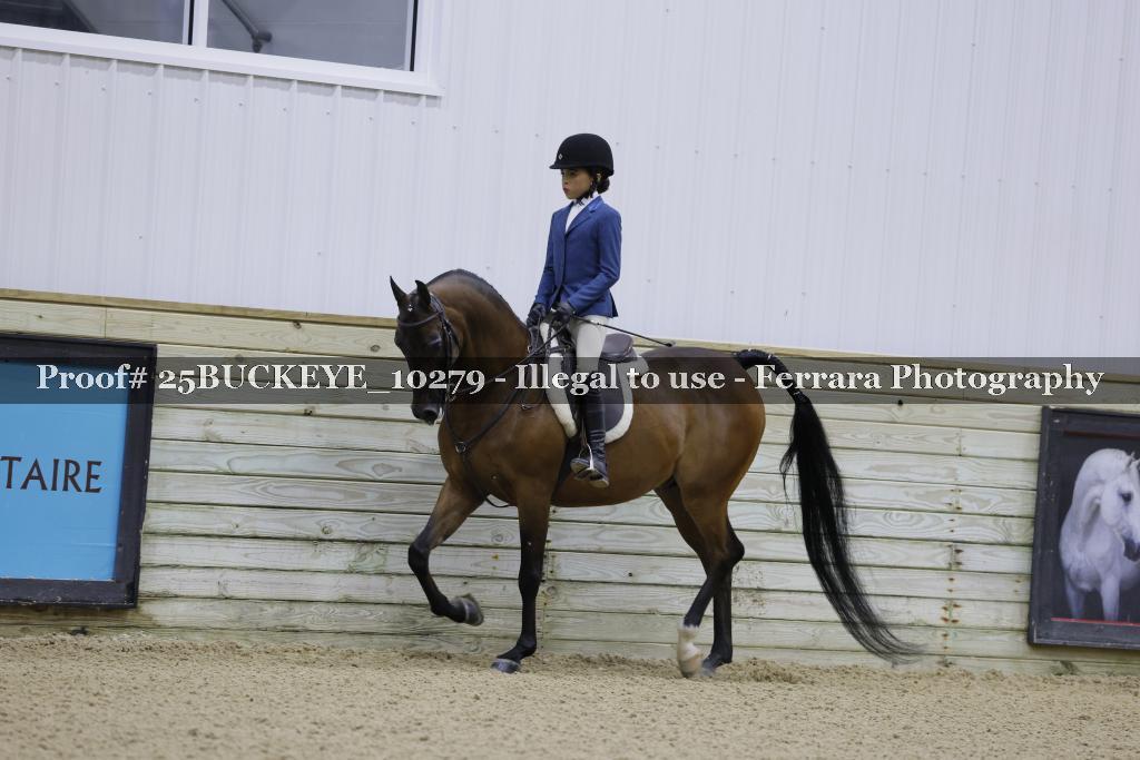 Proof Number 25BUCKEYE_10279