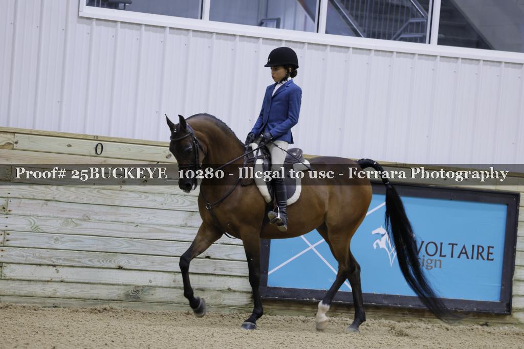 Proof Number 25BUCKEYE_10280