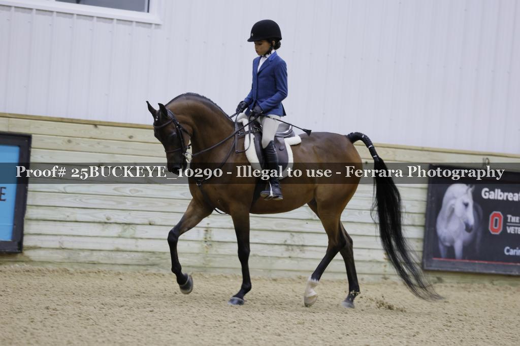 Proof Number 25BUCKEYE_10290