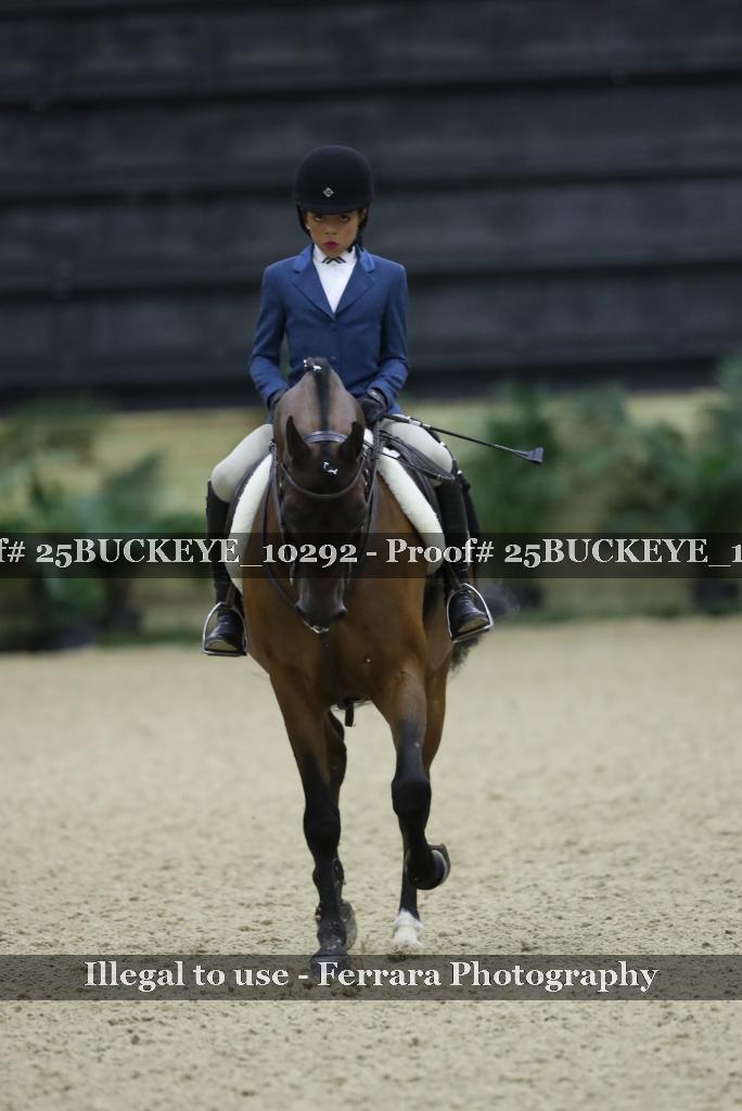 Proof Number 25BUCKEYE_10292