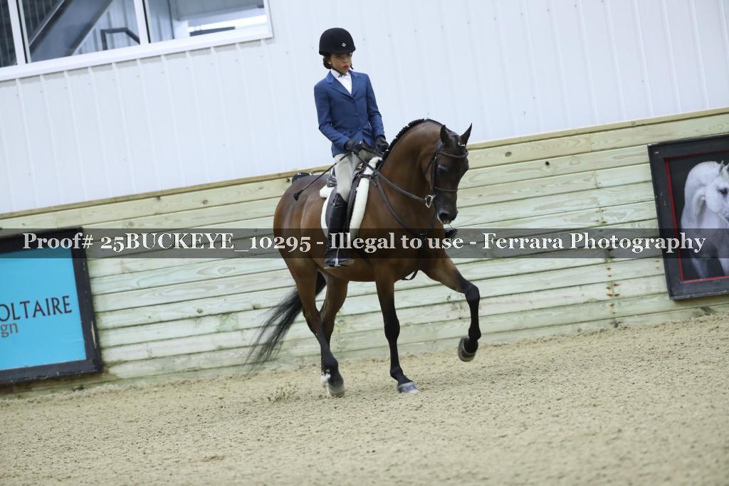 Proof Number 25BUCKEYE_10295