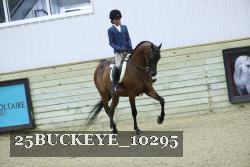 25BUCKEYE_10295 thumbnail