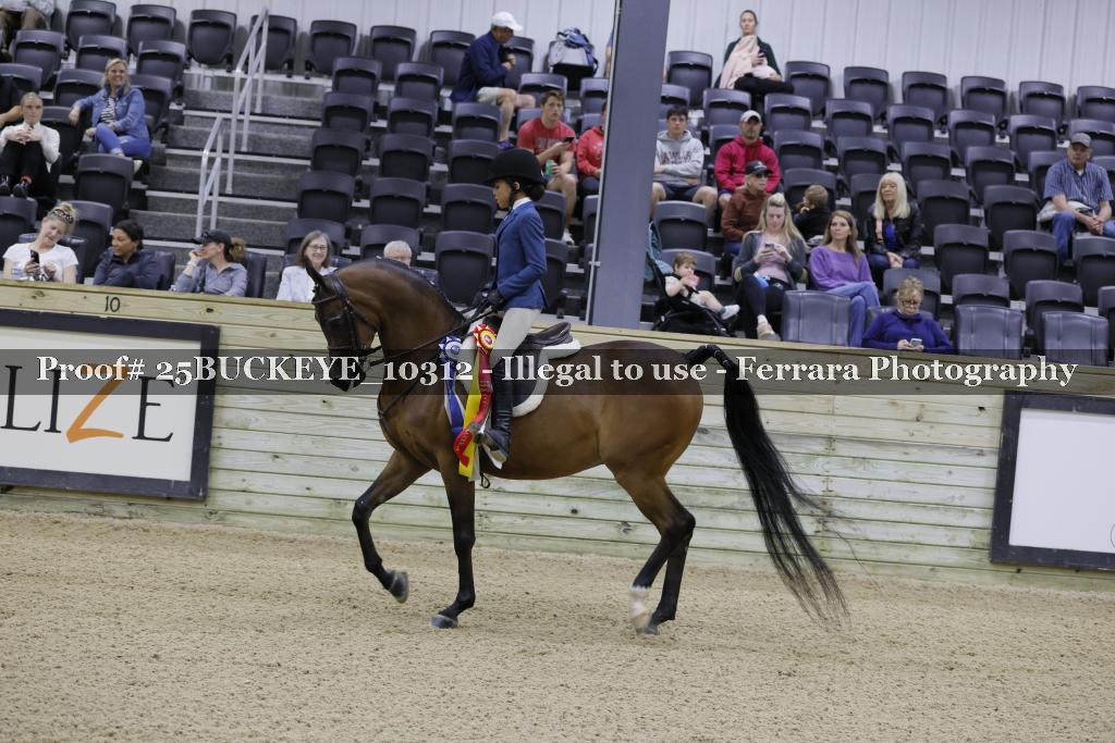 Proof Number 25BUCKEYE_10312