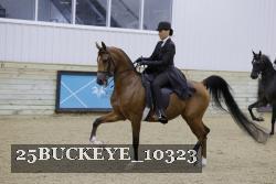 25BUCKEYE_10323 thumbnail