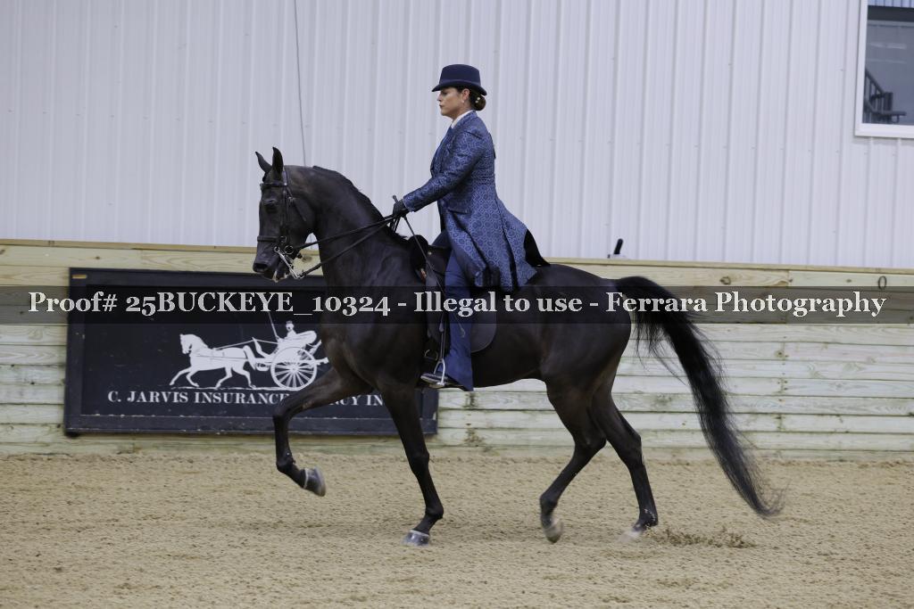 Proof Number 25BUCKEYE_10324