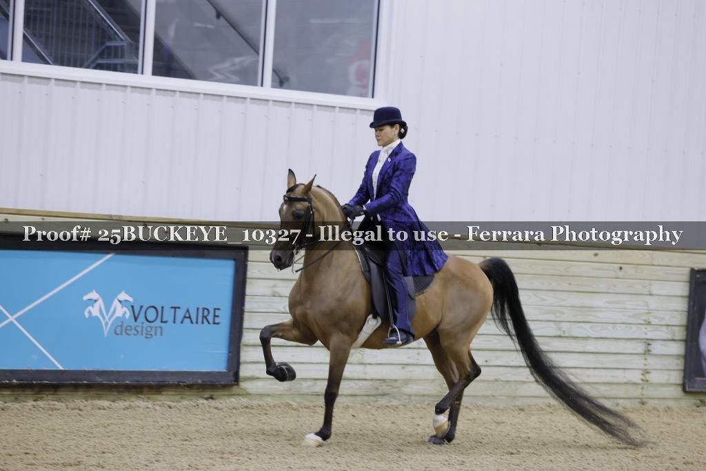 Proof Number 25BUCKEYE_10327
