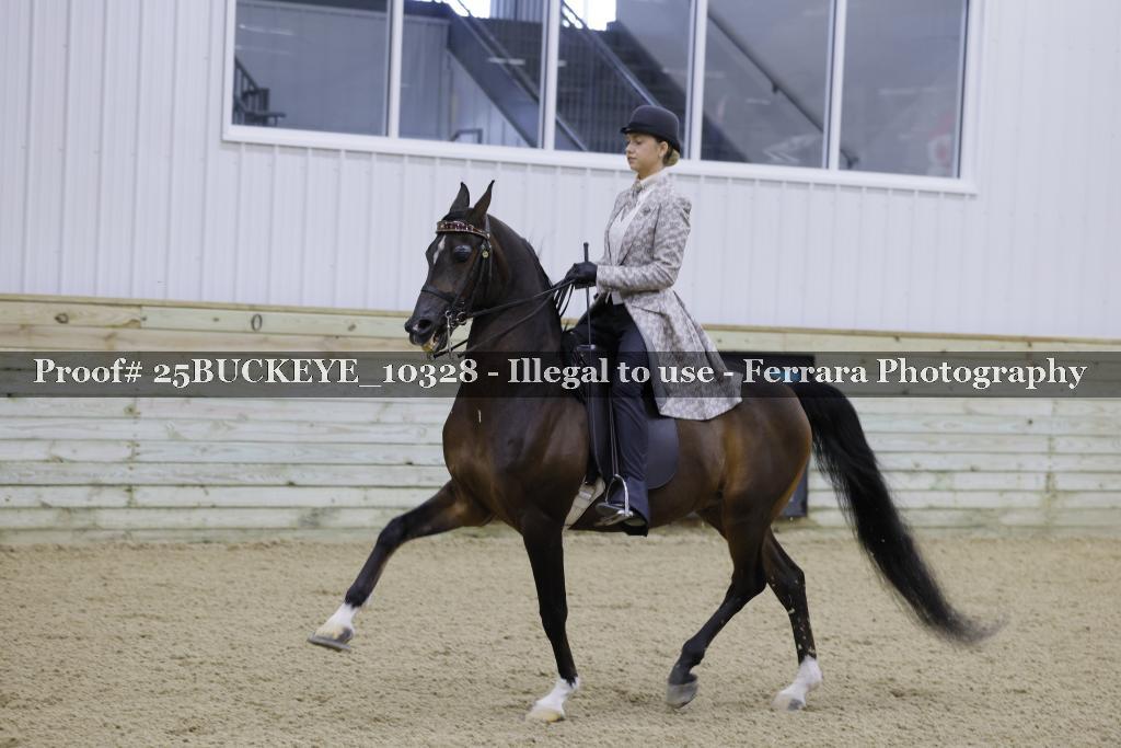 Proof Number 25BUCKEYE_10328