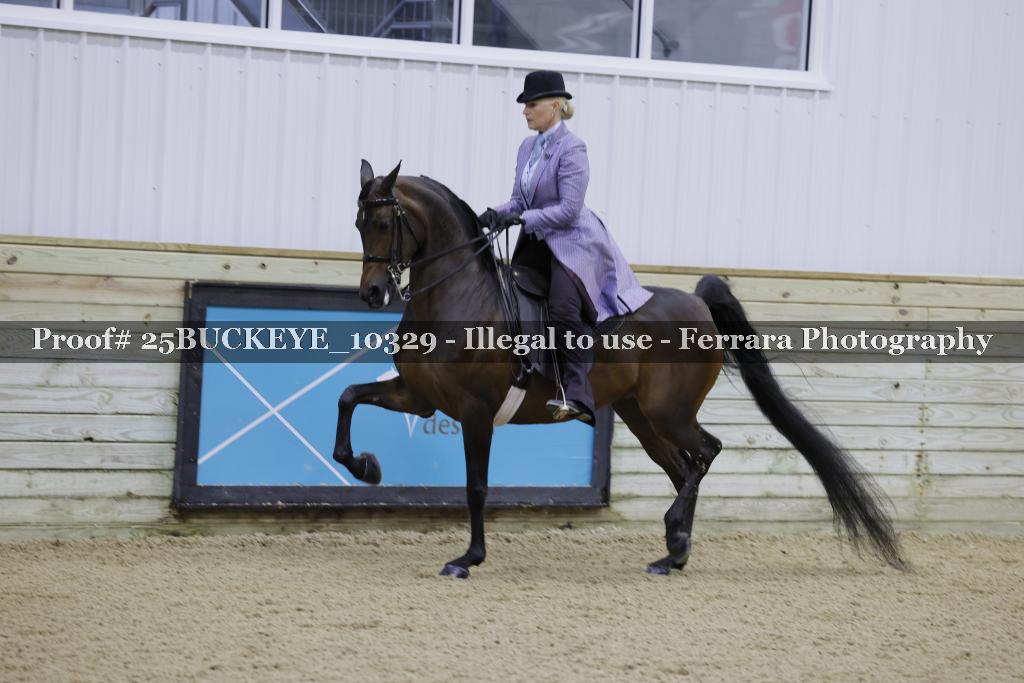Proof Number 25BUCKEYE_10329