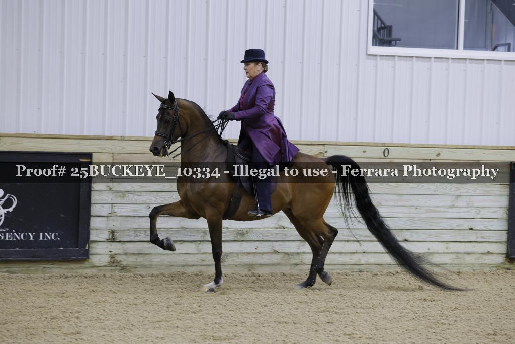 Proof Number 25BUCKEYE_10334