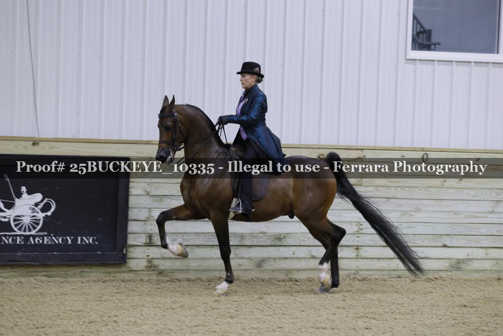 Proof Number 25BUCKEYE_10335