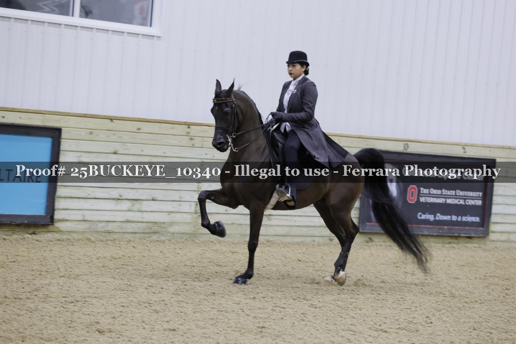 Proof Number 25BUCKEYE_10340