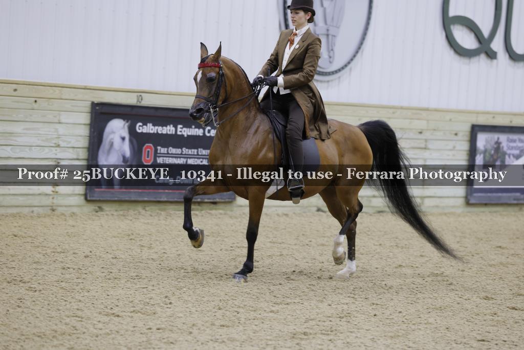 Proof Number 25BUCKEYE_10341