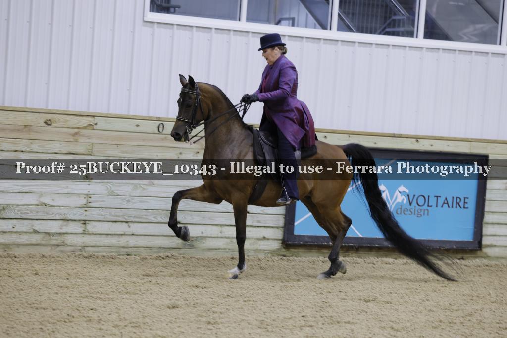 Proof Number 25BUCKEYE_10343
