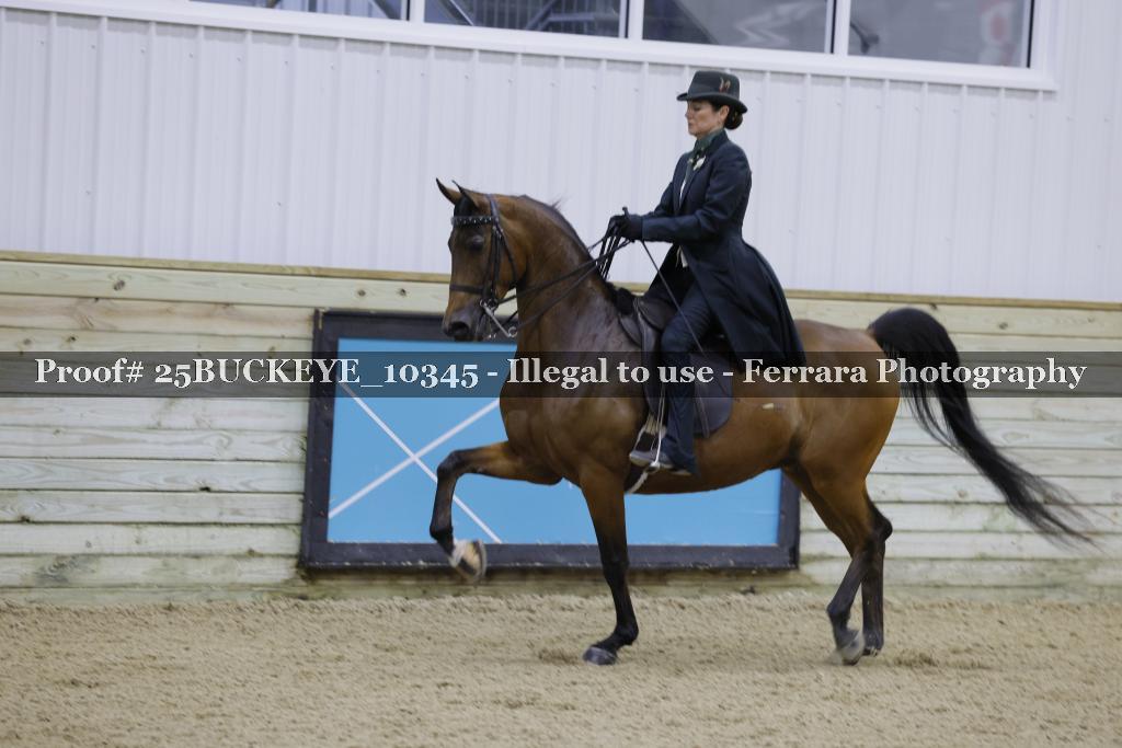 Proof Number 25BUCKEYE_10345