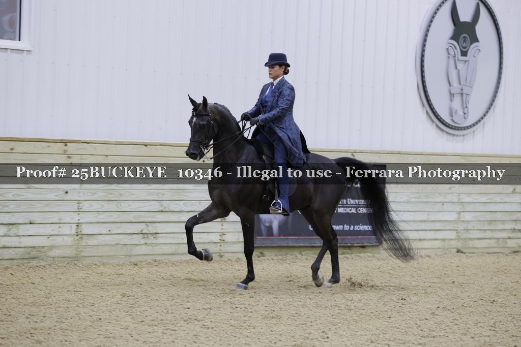 Proof Number 25BUCKEYE_10346