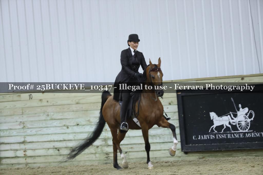 Proof Number 25BUCKEYE_10347