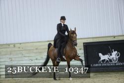 25BUCKEYE_10347 thumbnail