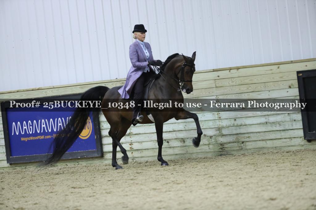 Proof Number 25BUCKEYE_10348