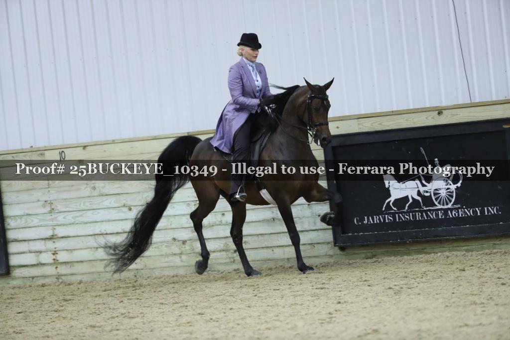 Proof Number 25BUCKEYE_10349