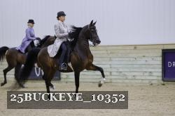25BUCKEYE_10352 thumbnail