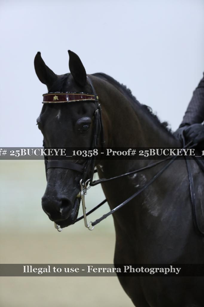 Proof Number 25BUCKEYE_10358