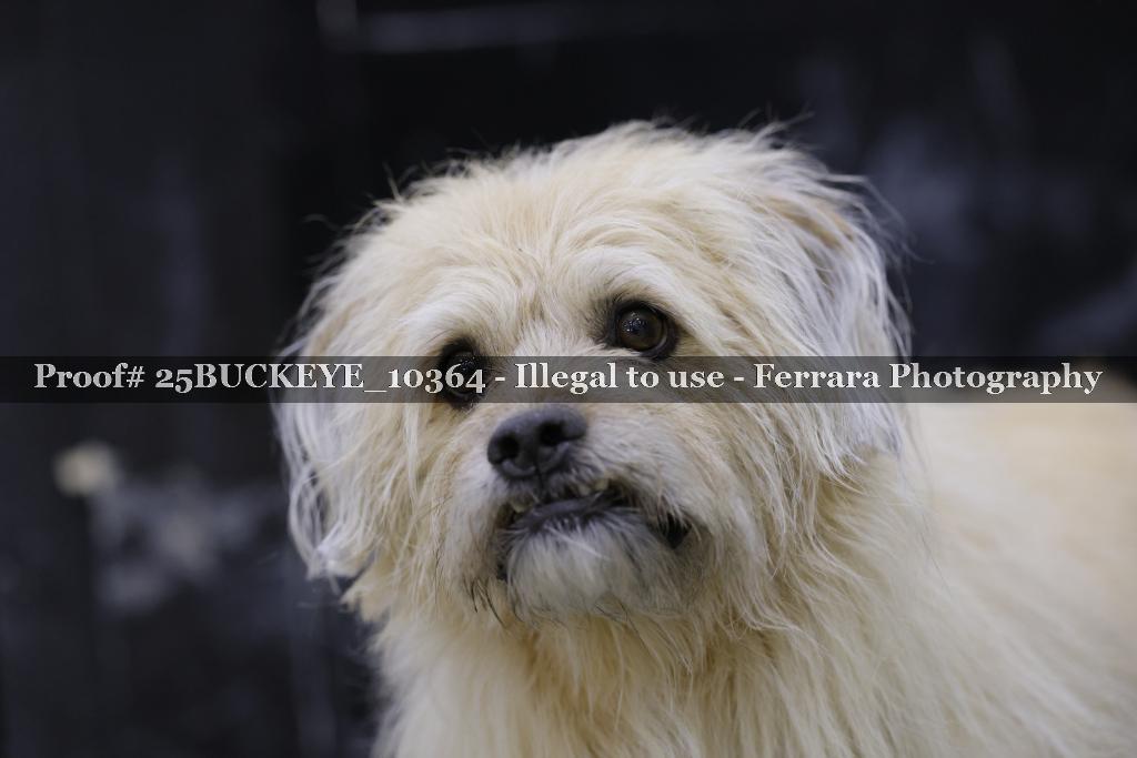 Proof Number 25BUCKEYE_10364