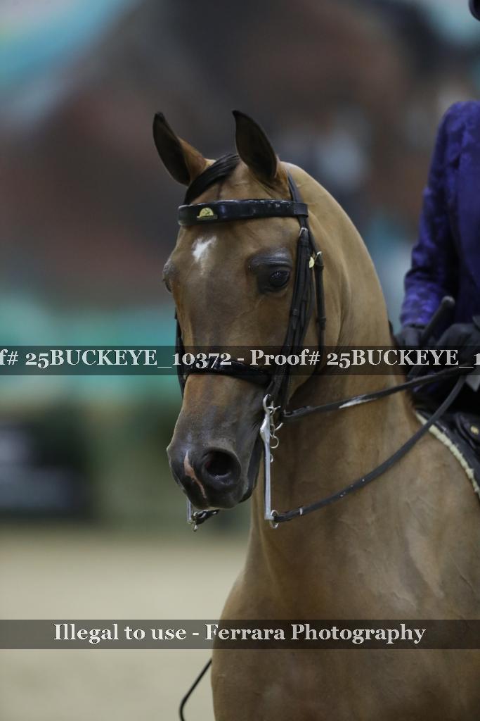 Proof Number 25BUCKEYE_10372