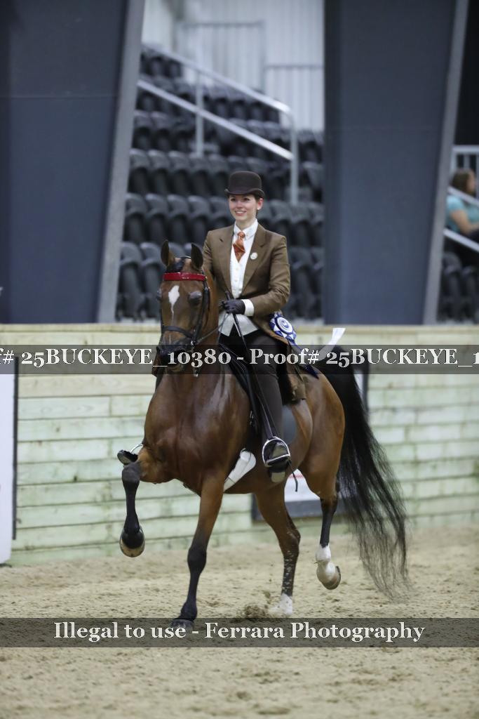 Proof Number 25BUCKEYE_10380
