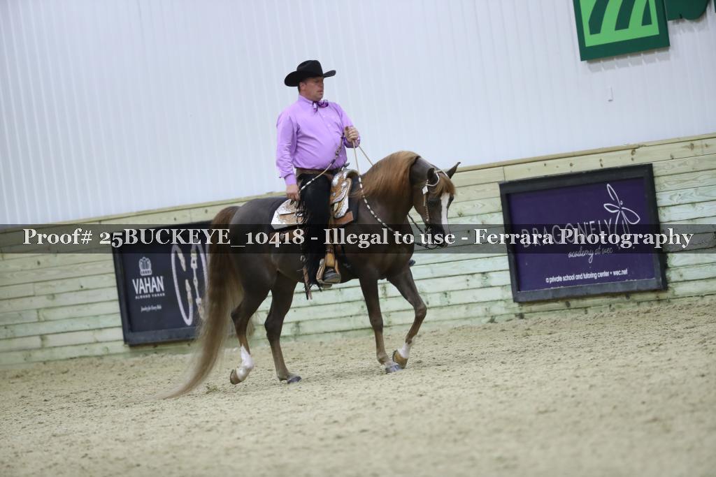 Proof Number 25BUCKEYE_10418