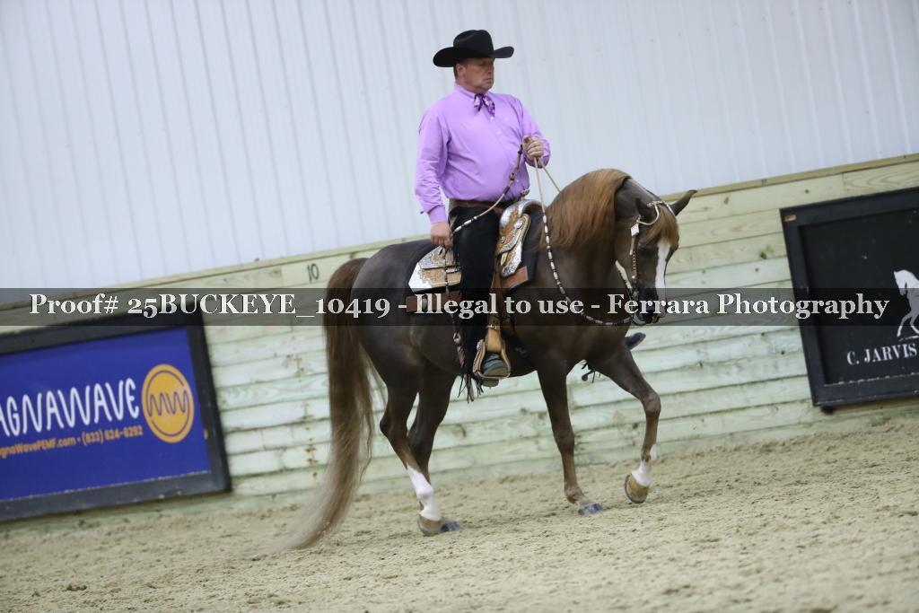 Proof Number 25BUCKEYE_10419