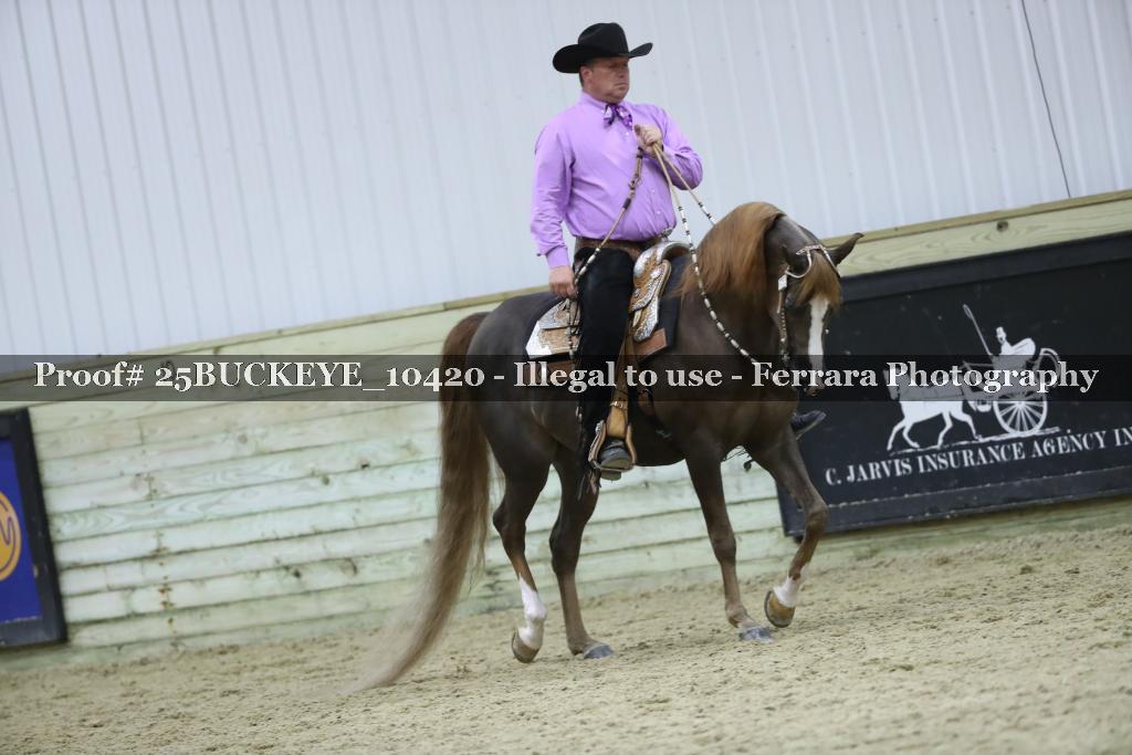 Proof Number 25BUCKEYE_10420