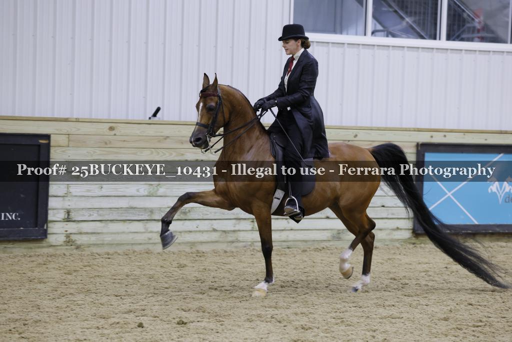 Proof Number 25BUCKEYE_10431