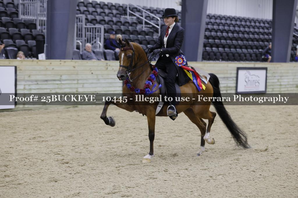Proof Number 25BUCKEYE_10445