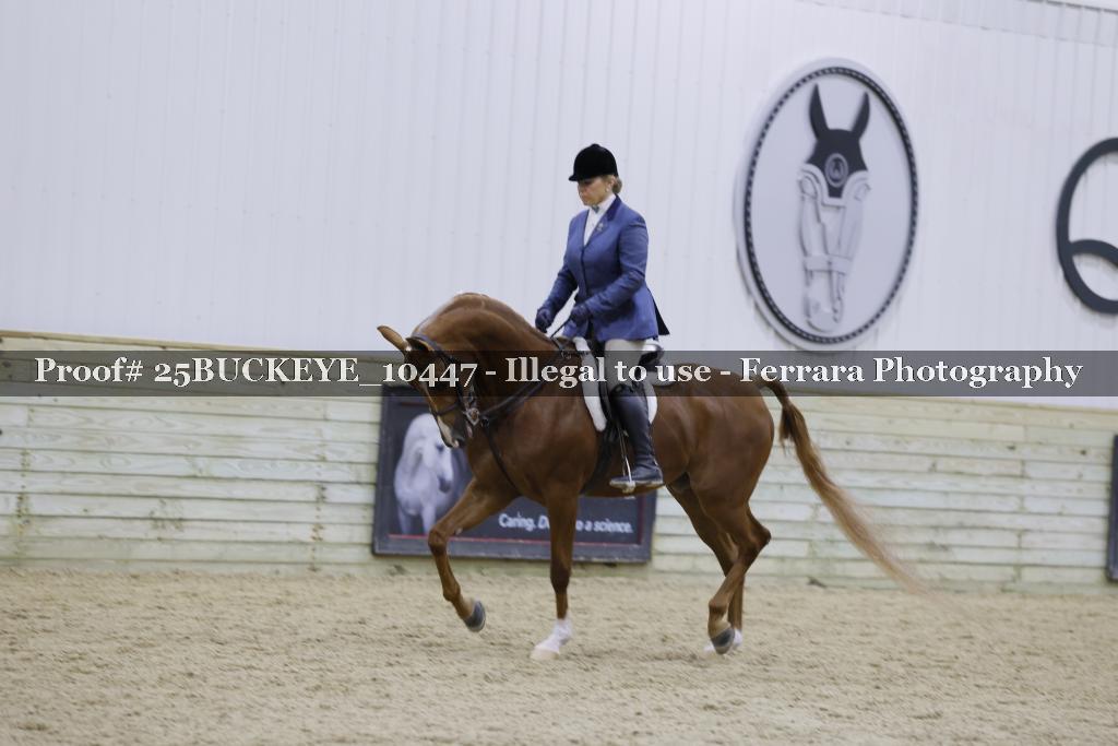 Proof Number 25BUCKEYE_10447