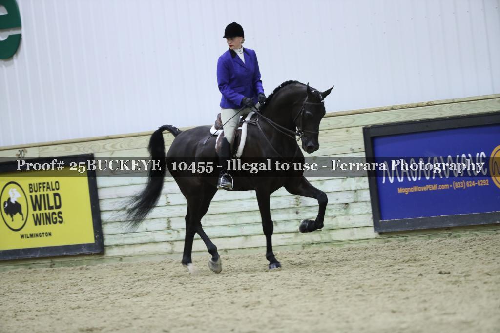 Proof Number 25BUCKEYE_10455