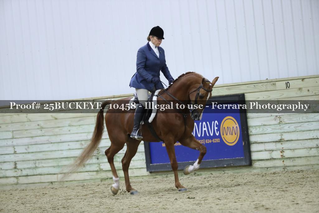 Proof Number 25BUCKEYE_10458