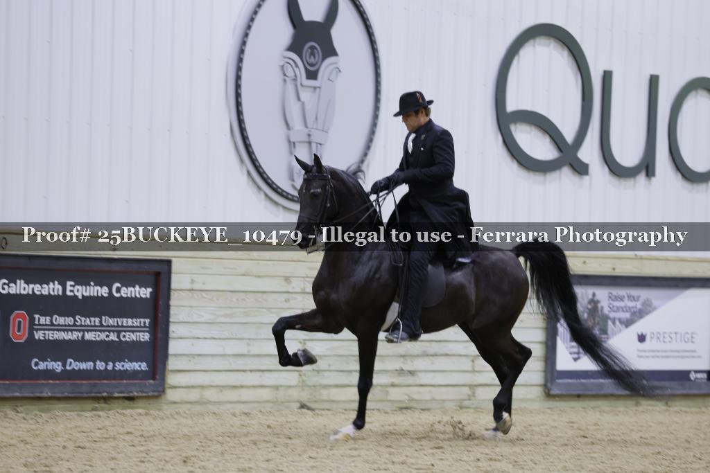 Proof Number 25BUCKEYE_10479