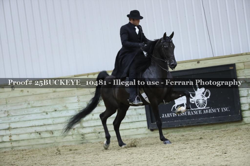 Proof Number 25BUCKEYE_10481