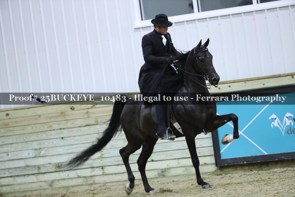 Proof Number 25BUCKEYE_10483