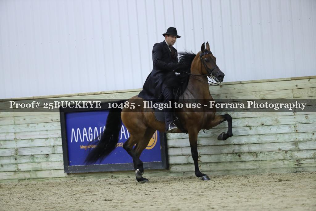 Proof Number 25BUCKEYE_10485
