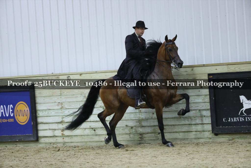 Proof Number 25BUCKEYE_10486