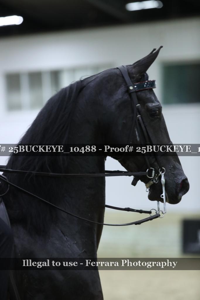 Proof Number 25BUCKEYE_10488