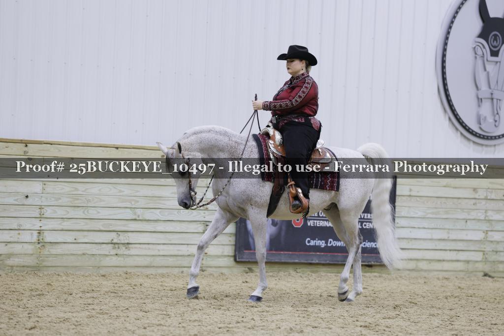 Proof Number 25BUCKEYE_10497