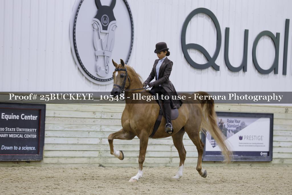 Proof Number 25BUCKEYE_10548